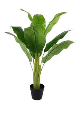 עציץ פוטוס- 88 ס''מ